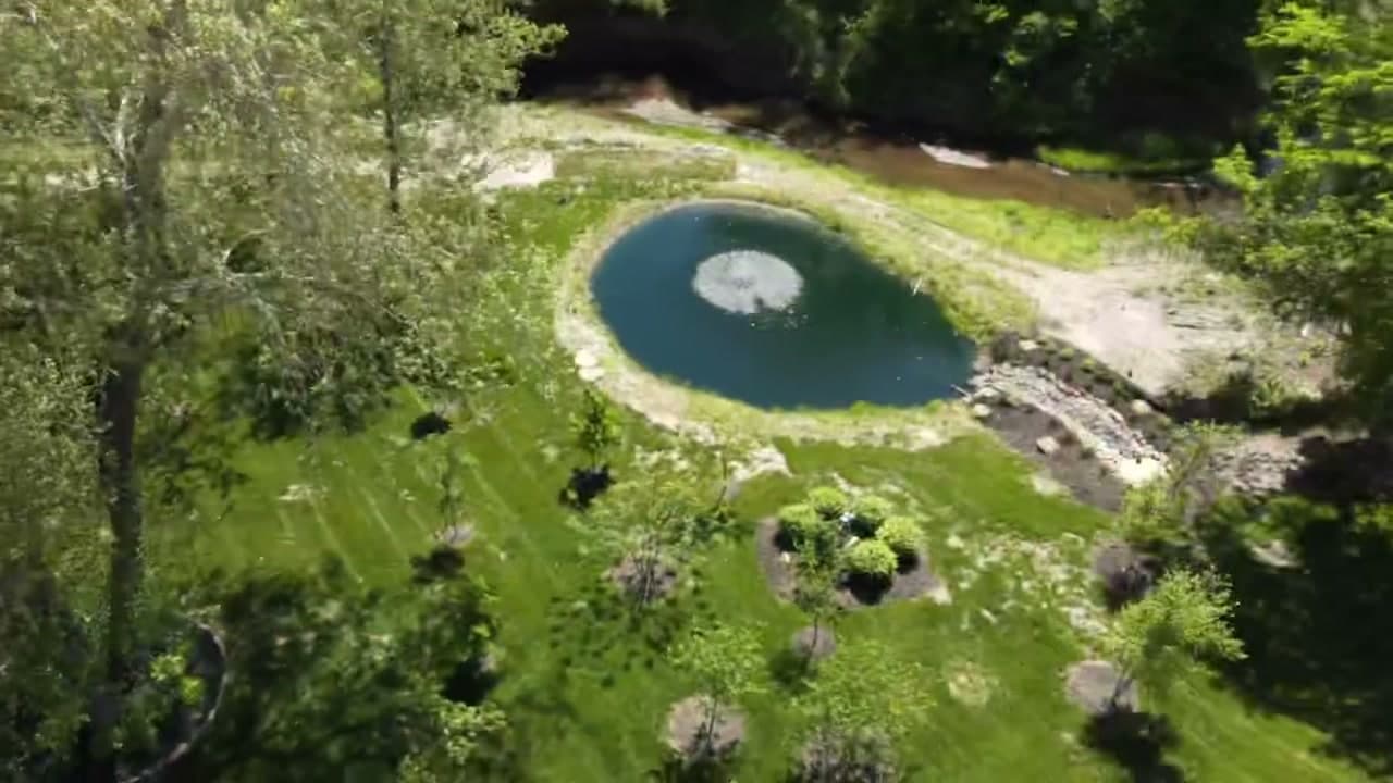 Aerial view of pond with fountain surrounded by lush grounds