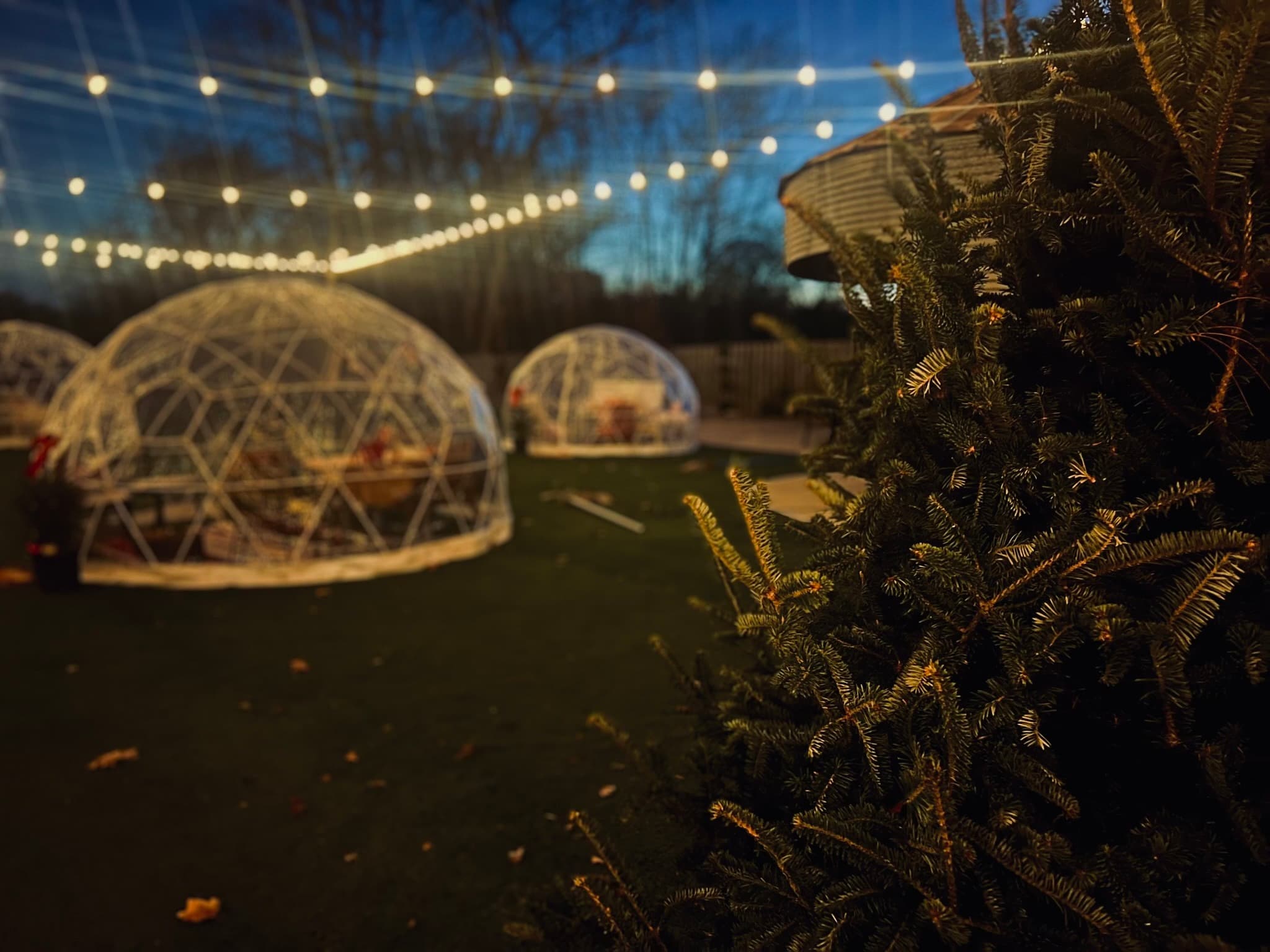 Igloo domes on the venue lawn at dusk with string lights overhead